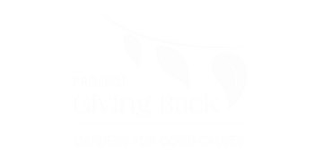 Logo 13