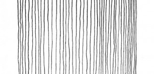 Lines in a square