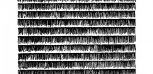 Lines in a square